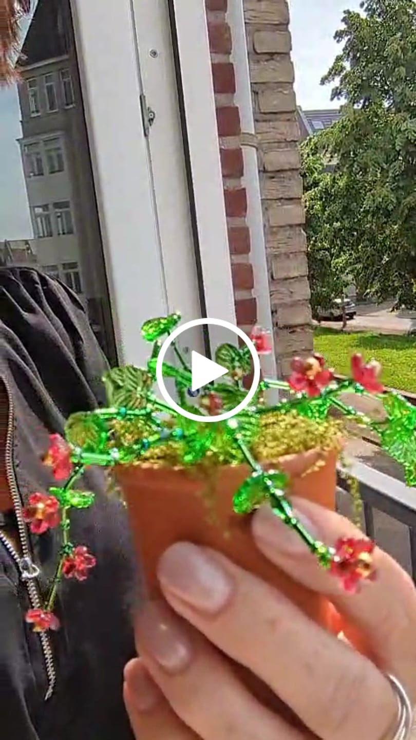 Customer video review of Maak je eigen kralenplant - Rode Bloei