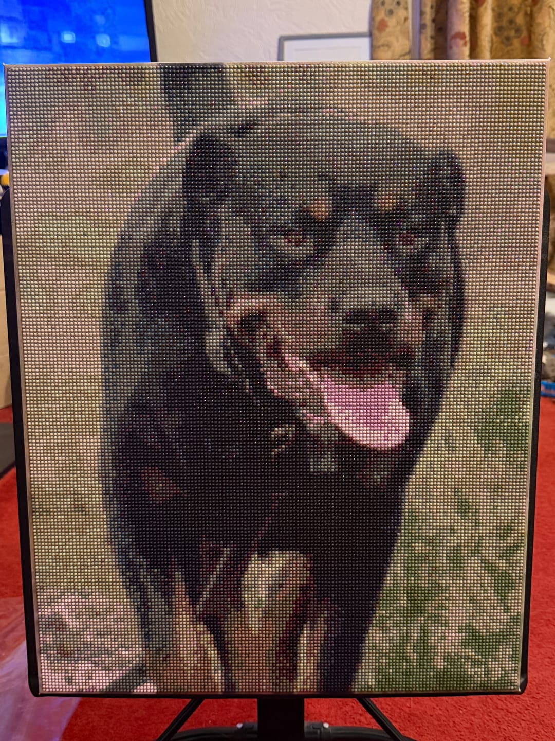 Customer photo review of Personalised Crystal Art Canvas Kit