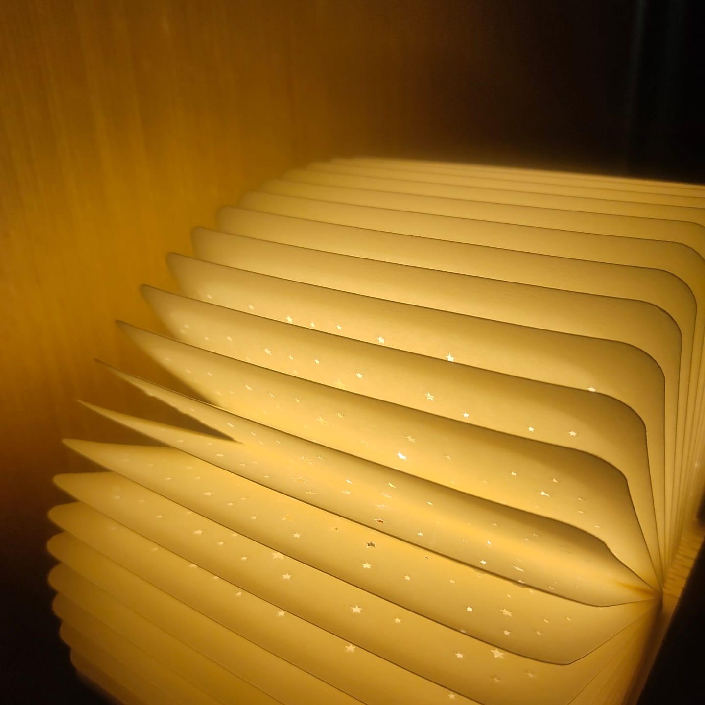 Customer photo review of Book lamp