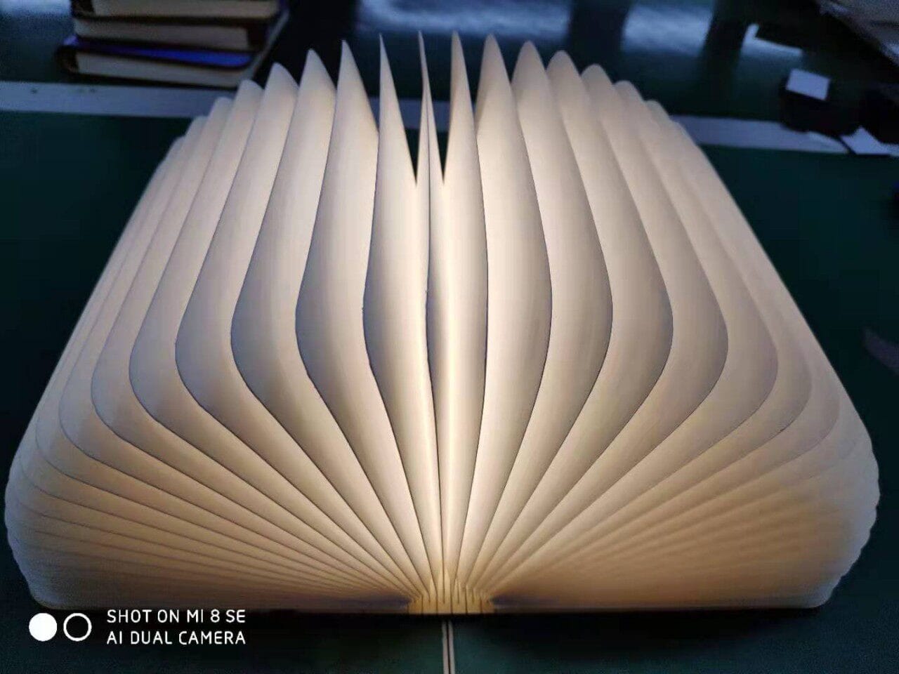Customer photo review of Book lamp