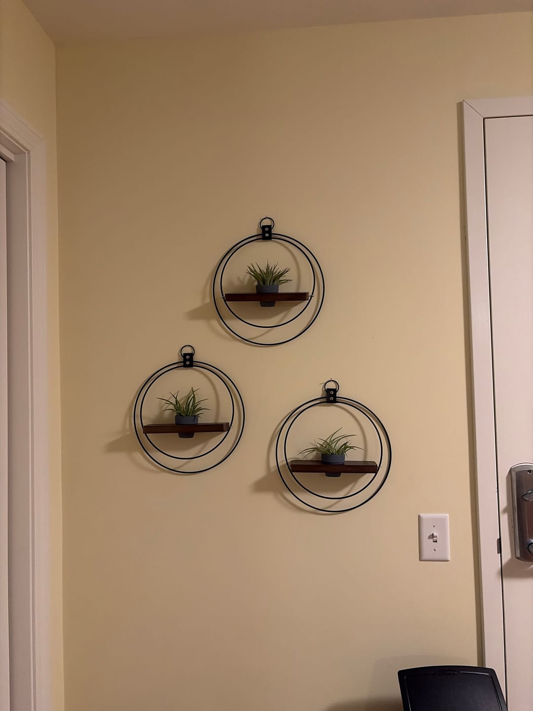 Customer photo review of Air Plant Shelf + Pot Trio