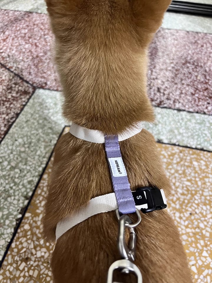 Customer photo review of Valora Ultra-Lightweight H-Shaped Escape-Proof Dog Harness and Leash Set