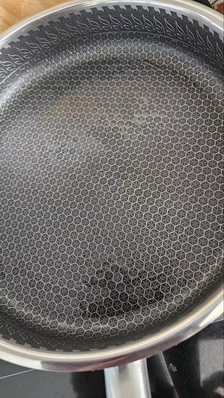 Customer photo review of Premium Stainless Steel Titan Pan