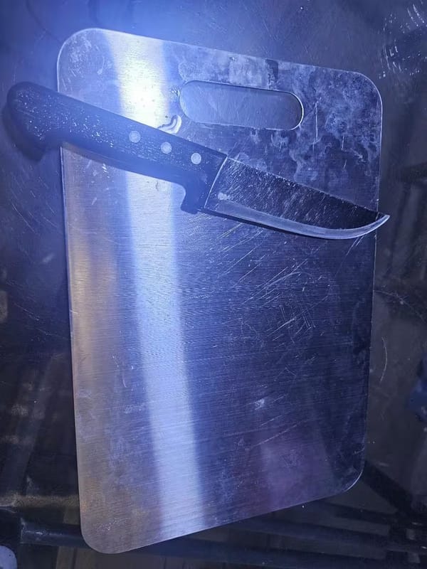 Customer photo review of Stainless Steel Cutting Board – Hygienic Kitchen Essential