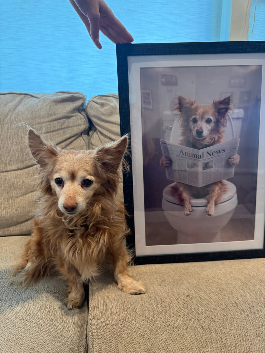 Customer photo review of Bathroom - Personalized Poster