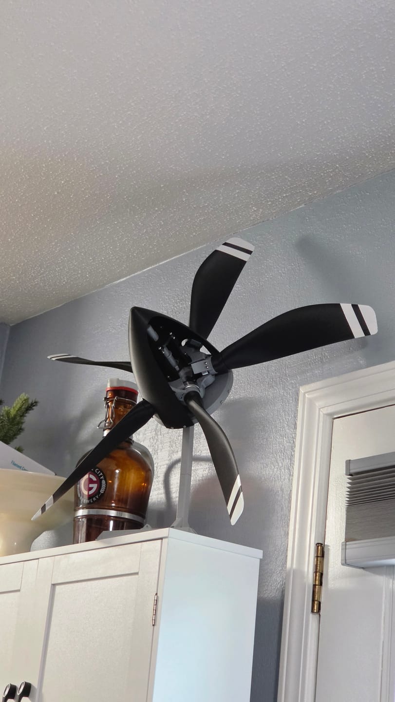 Customer photo review of Constant Speed Propeller - A02