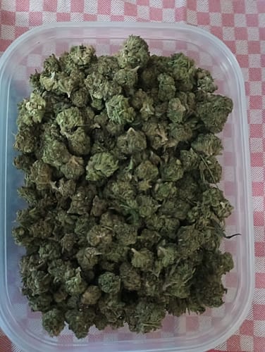 Customer photo review of Cheap THCA Flower Pound