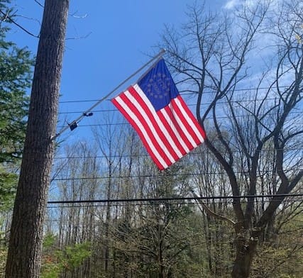 Customer's Betsy Ross Flag flying on a pole mounted to a large tree against a blue sky.