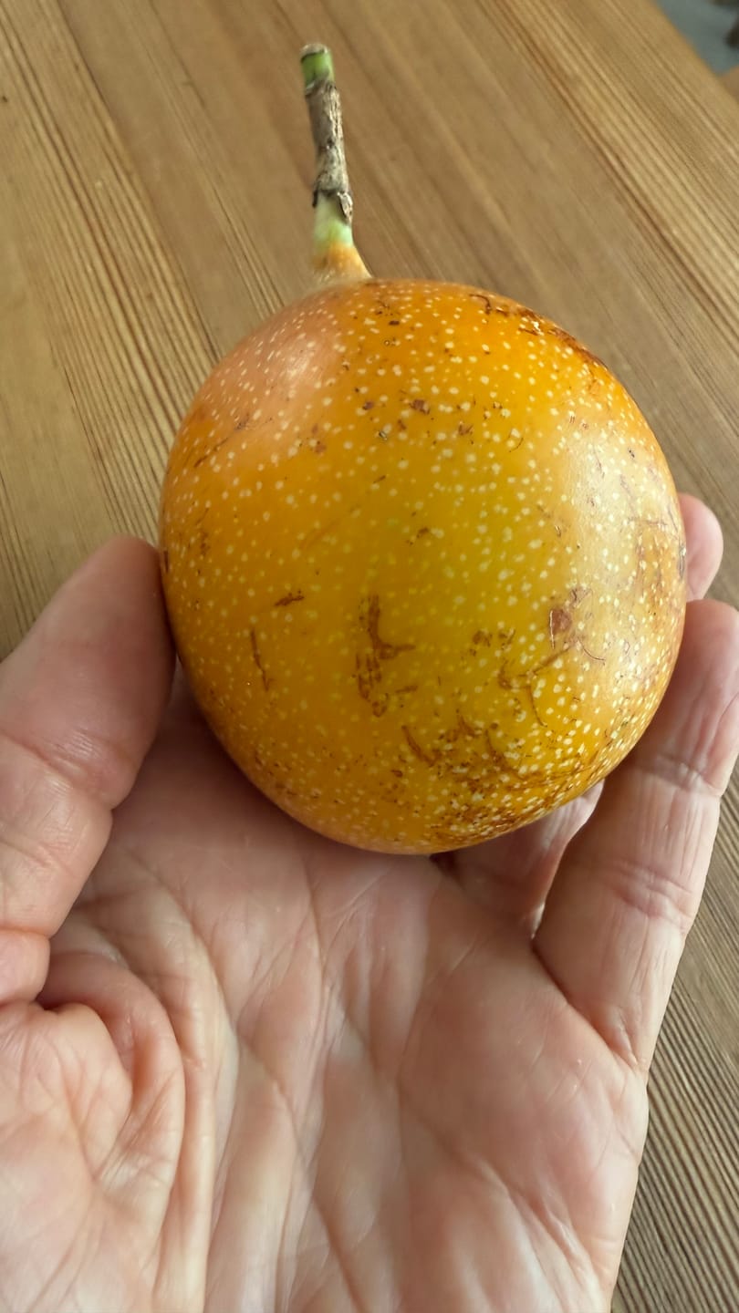 Customer photo review of Süße Granadilla Aktionspreis % 1,5kg