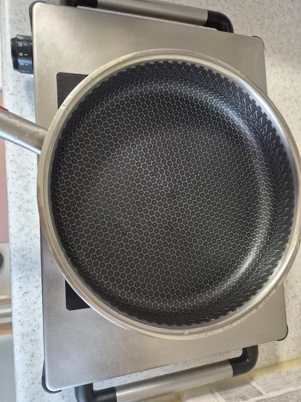 Customer photo review of Premium Stainless Steel Titan Pan