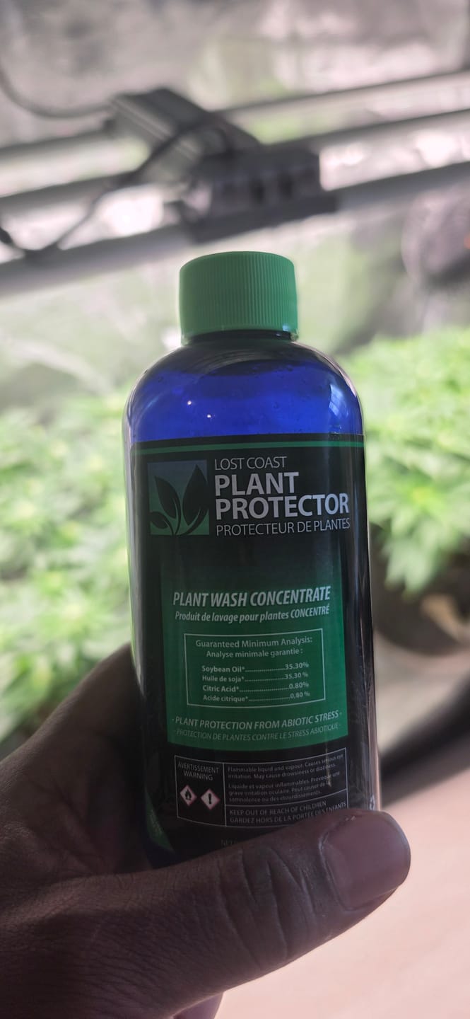 Customer photo review of Lost Coast Plant Protector