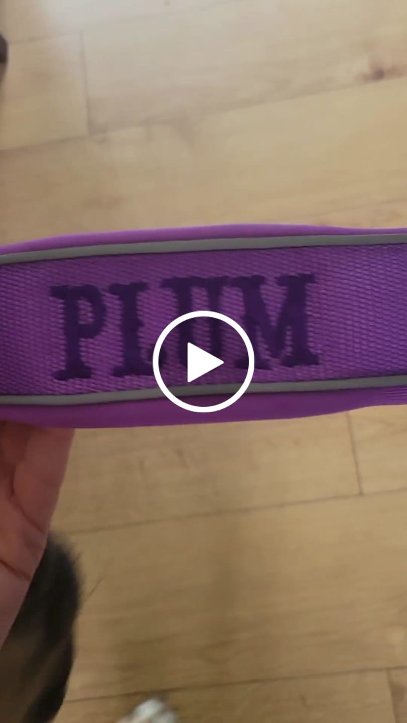 Customer video review of Ladder Combat® Multiple Handles Lead - Purple