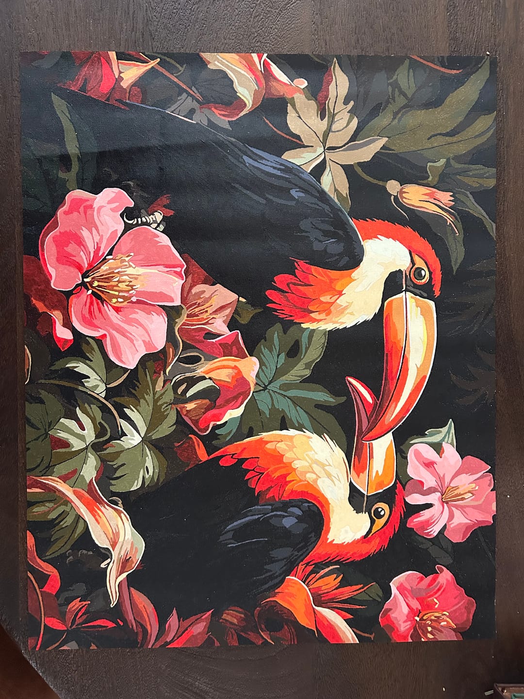 Customer photo review of Toucan Rhythm