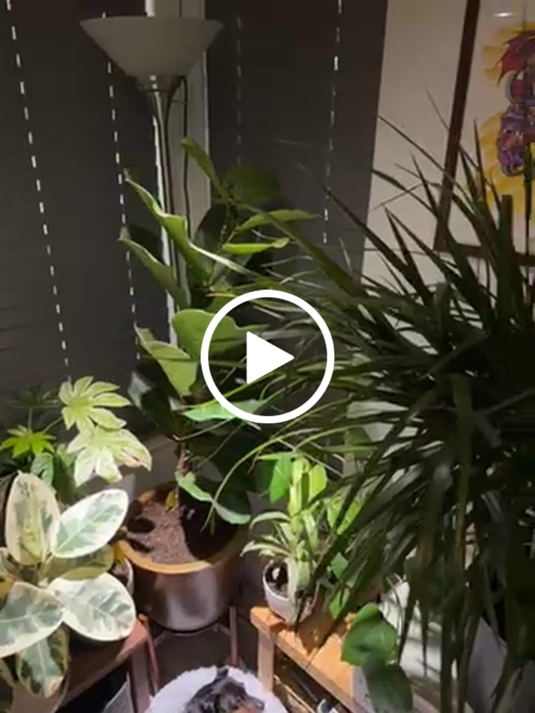 Customer video review of Klydoclock