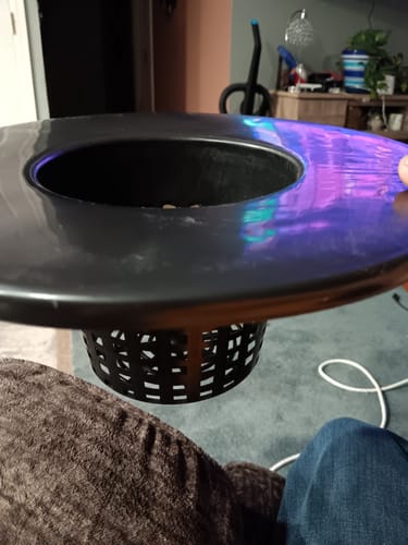 Customer photo review of 6" Net Pot Bucket Lid