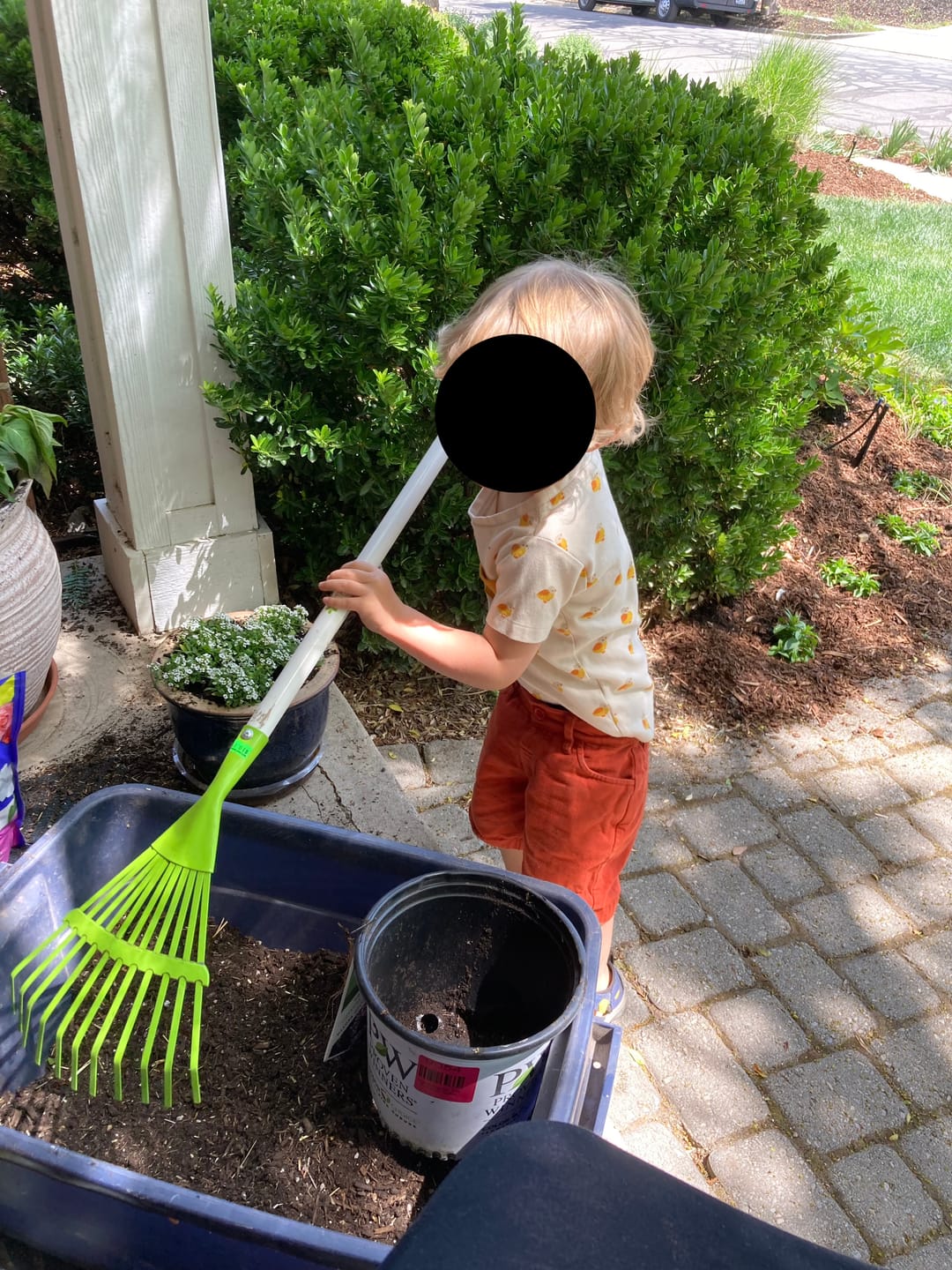 Customer photo review of Little Ducks Organic T-Shirt & Jogger Playset