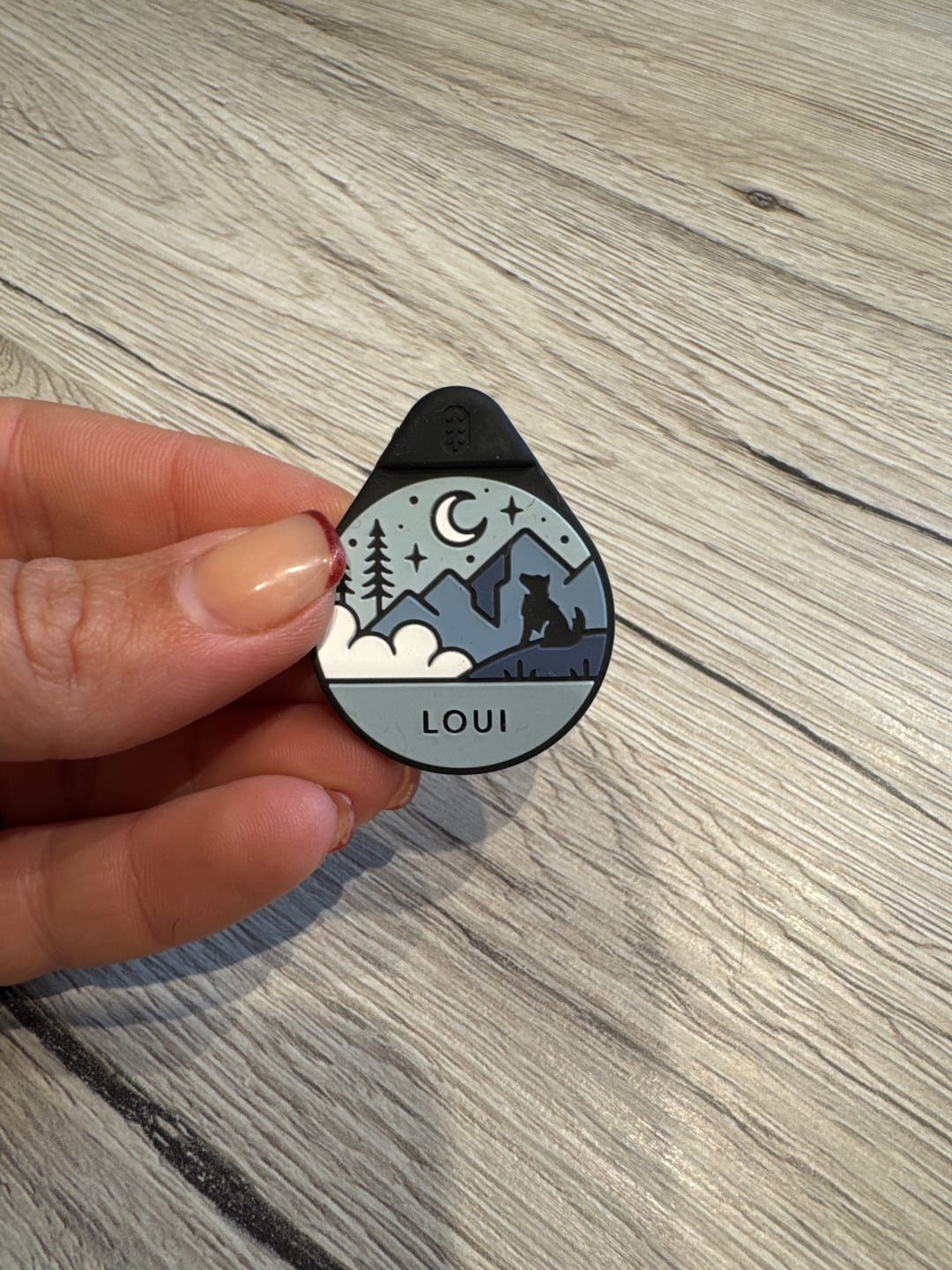Customer photo review of Celestial Green - Silent Dog ID Tag