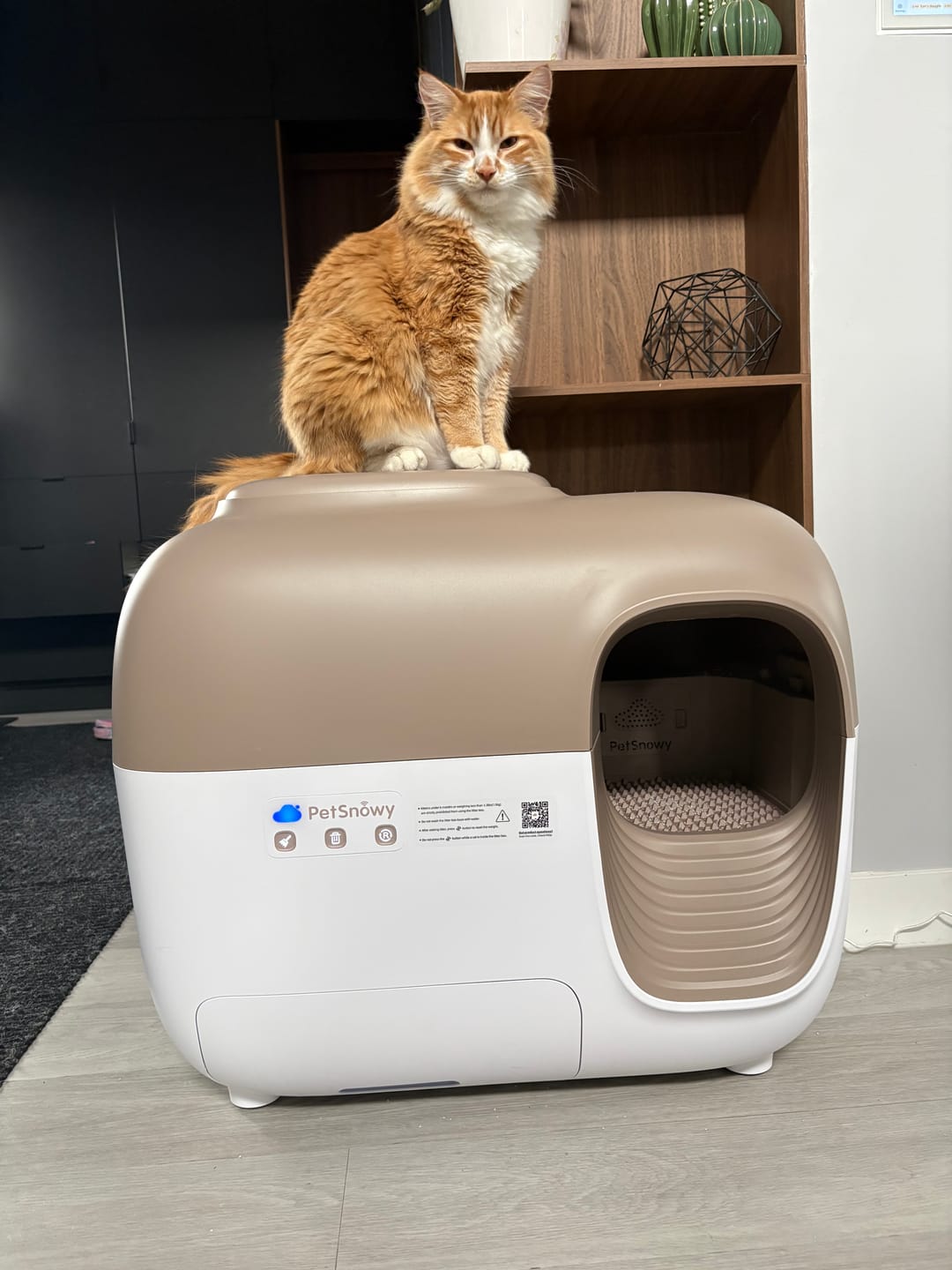 Customer photo review of Self-Cleaning Litter Box