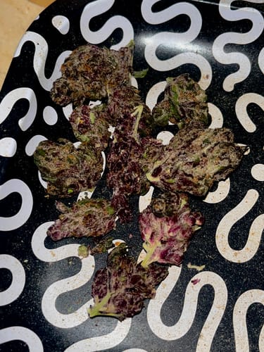 A customer's close-up of Royal Cherry flower, showing the dark purple buds on a decorative tray.