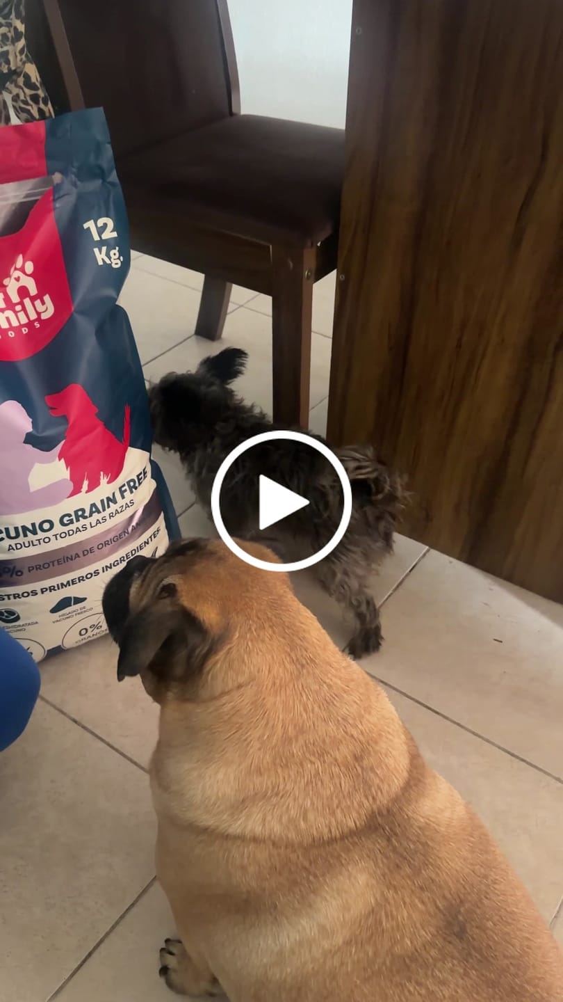 Customer video review of PetFamily Foods Razas Pequeñas