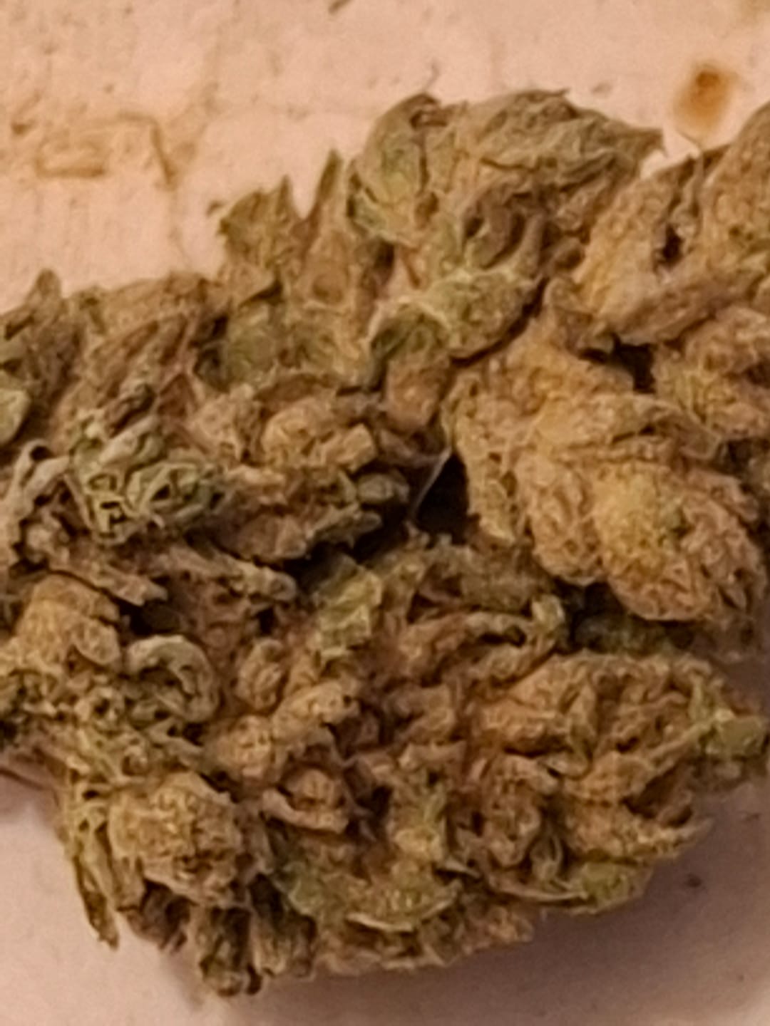 Customer photo review of Strawberry Cream CBG