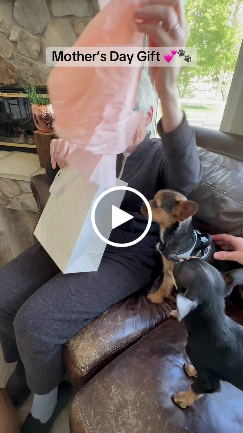 Customer video review of Custom Modern Pet Portrait Mug - Two Pets