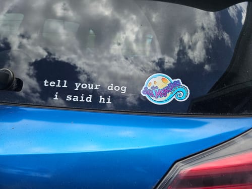 Customer's custom vinyl stickers, featuring text and a colorful graphic, on the rear window of a car.