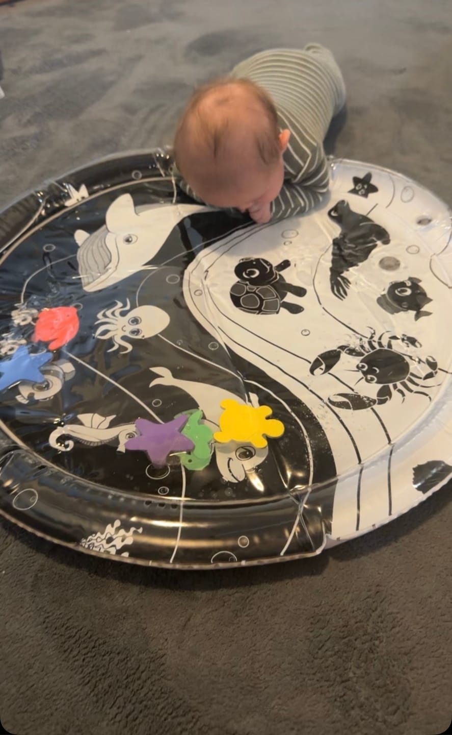 Customer photo review of Under The Sea High Contrast Sensory Water Mat