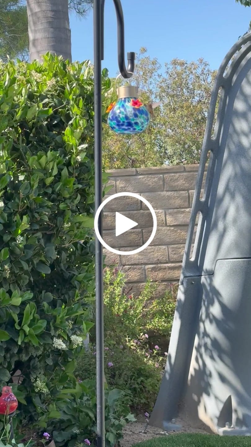 Customer video review of VINGUYS Solar Hummingbird Feeder with Light