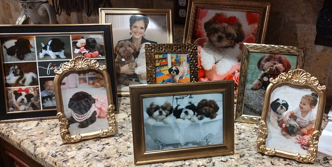 Customer photo review of Paw Licker Bundle