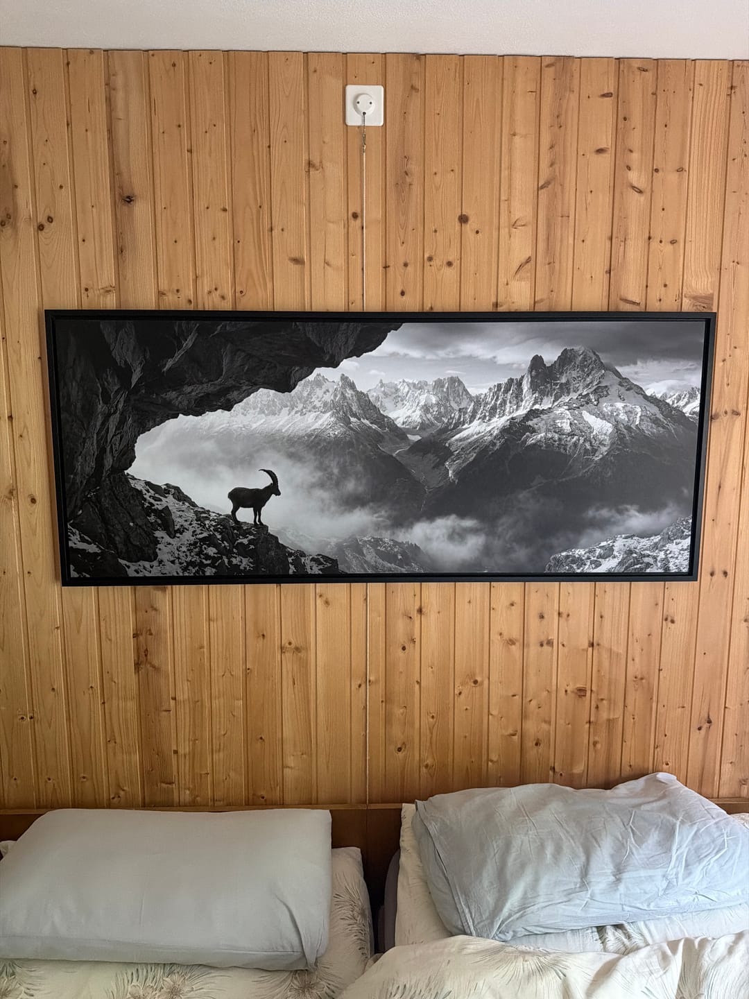 Customer photo review of Alpine Ibex Stillness – Alu-Dibond wall art