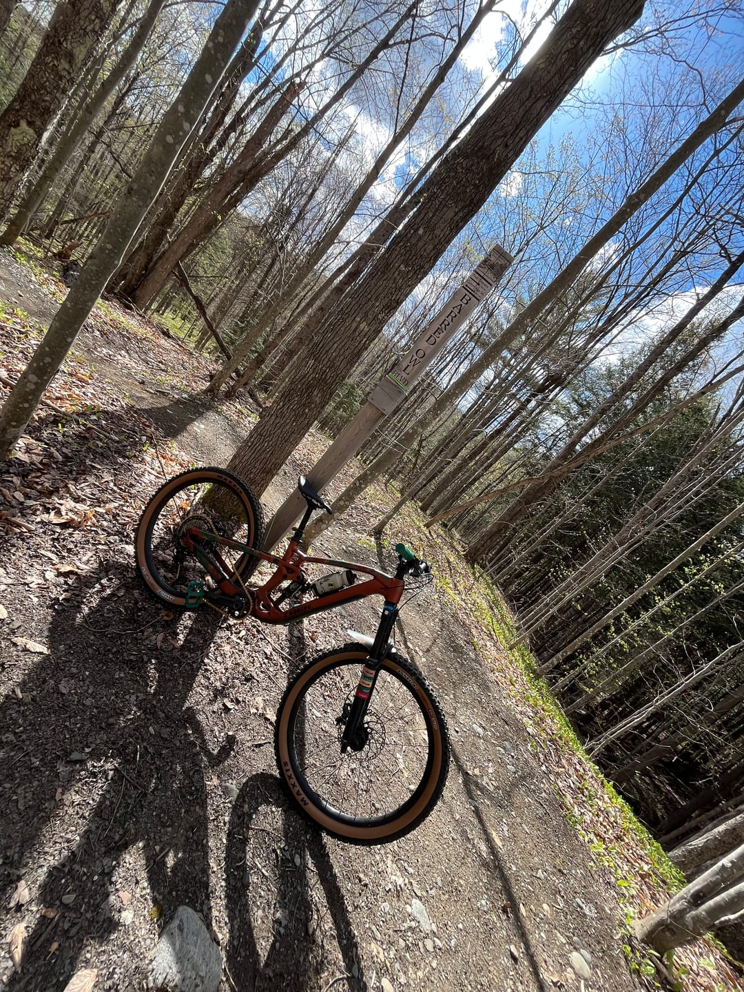 Customer photo review of Botanic Revival Fender