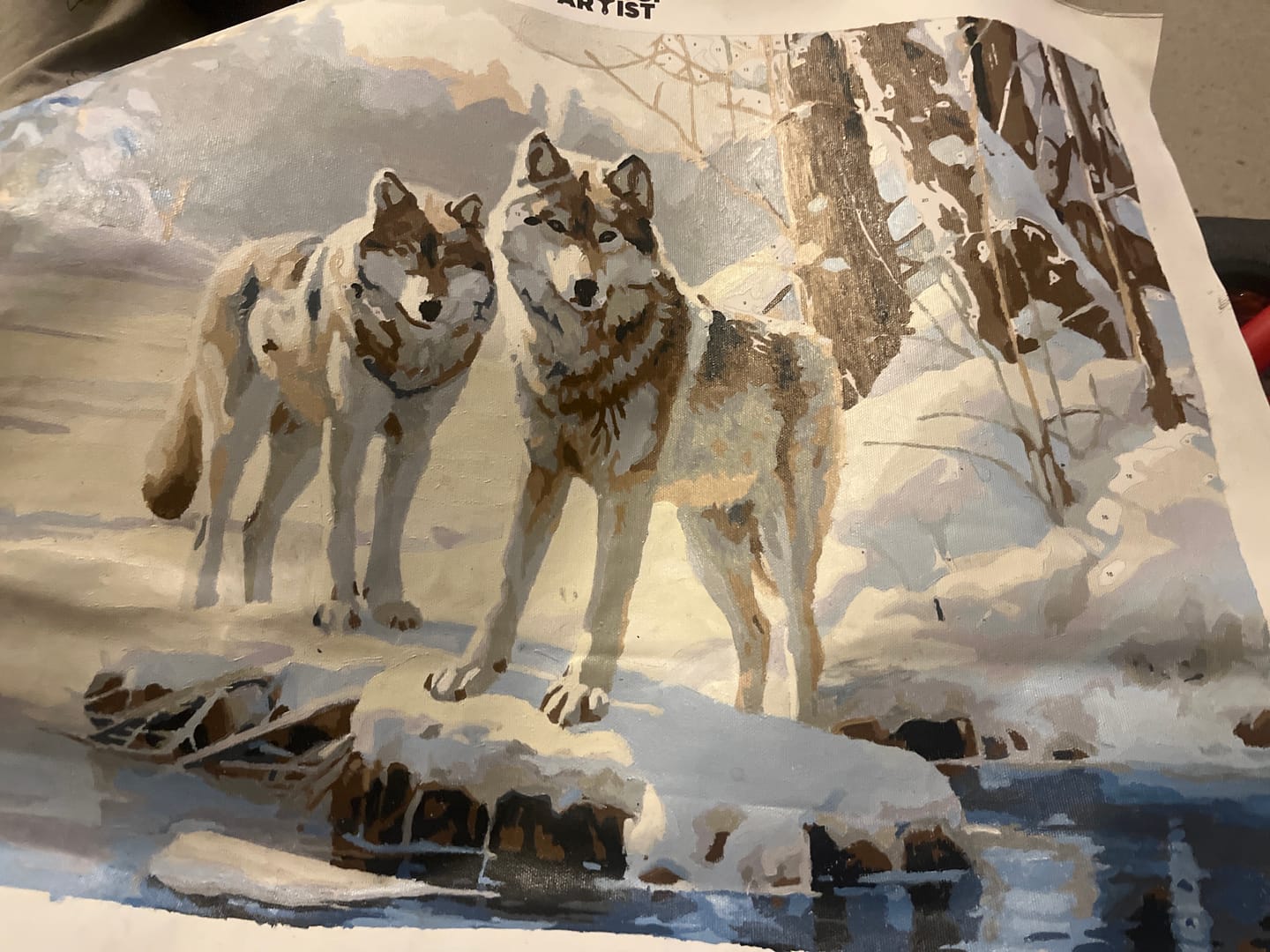 Customer photo review of Snow Wolves