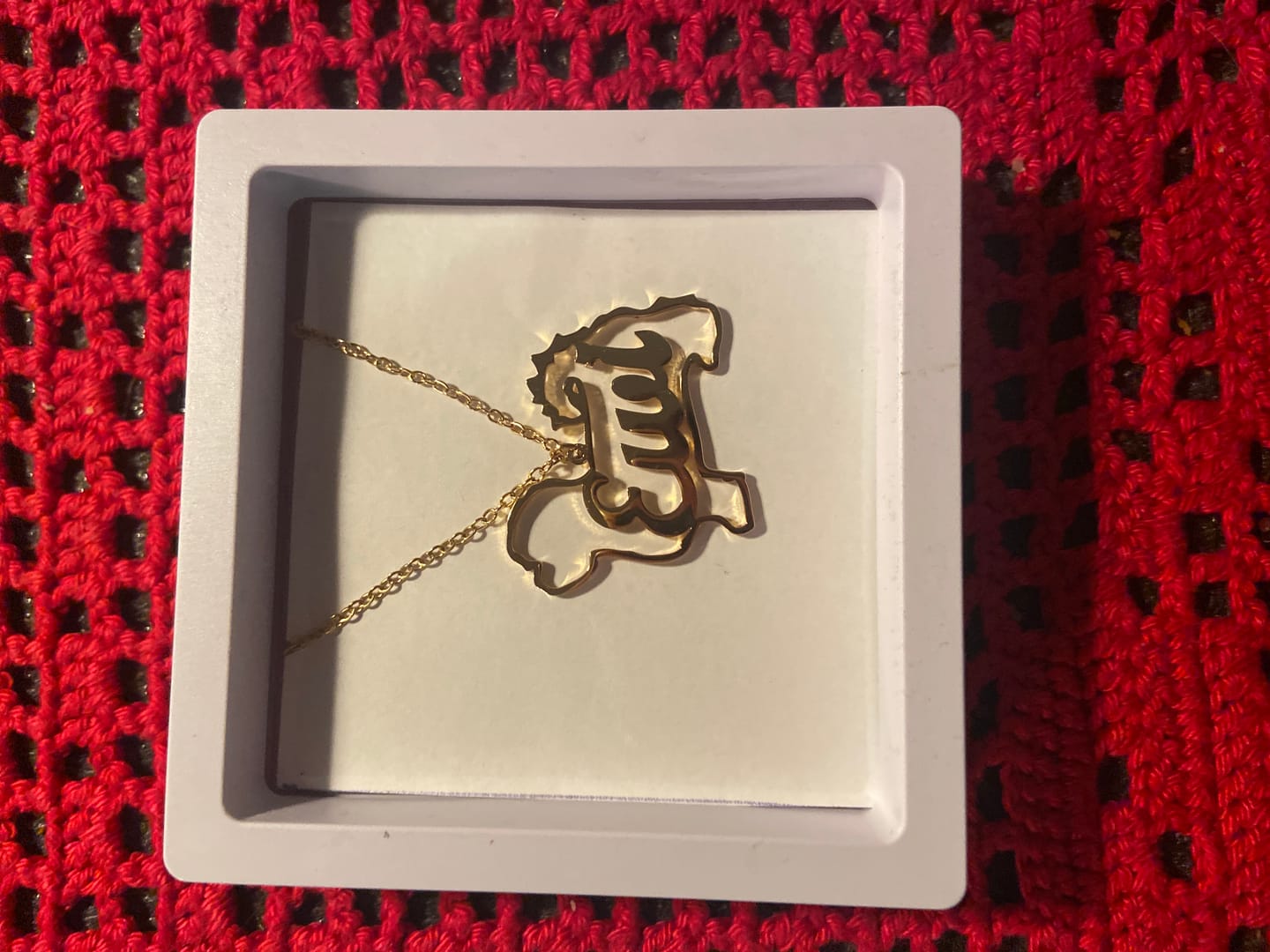 Customer photo review of Personalisierte Halskette - Hundesilhouette
