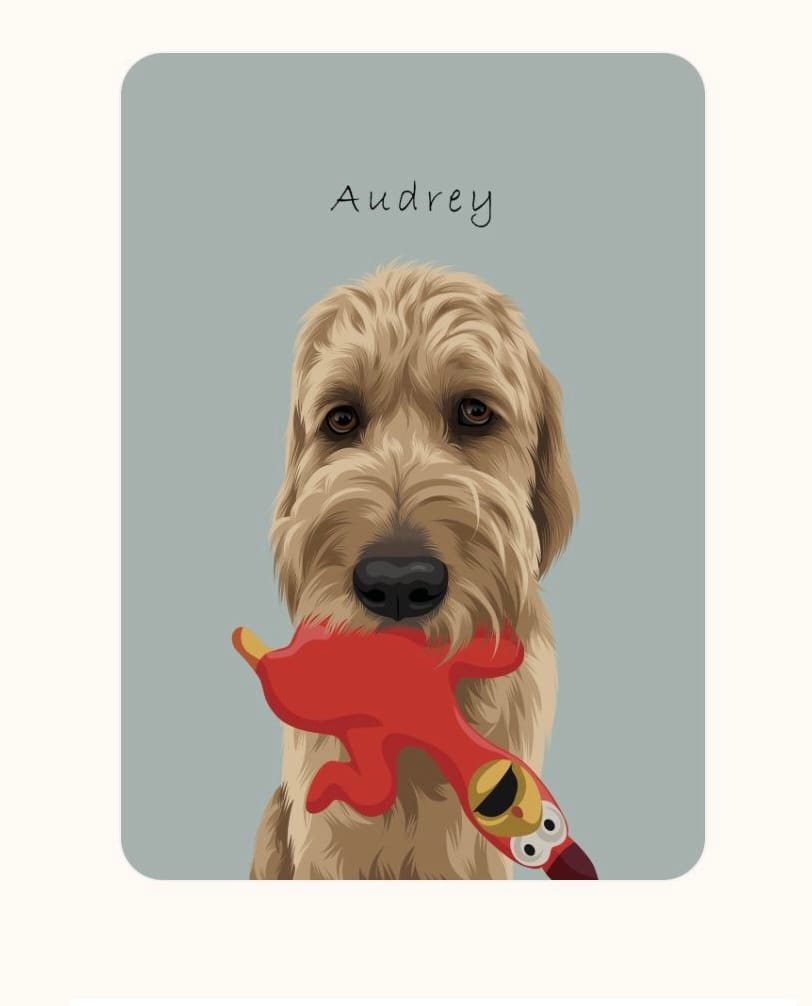 Customer photo review of Custom Dog Portrait
