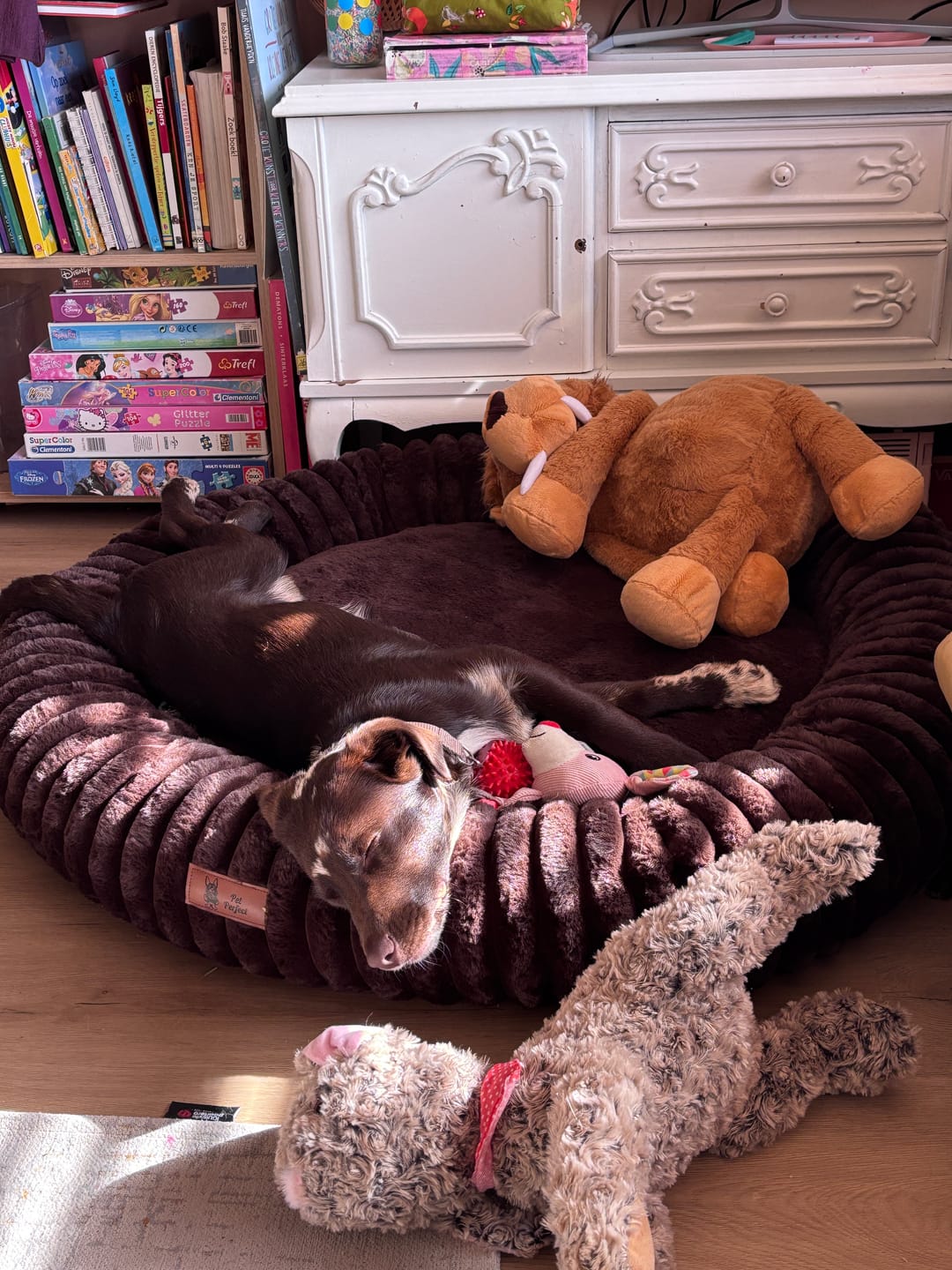 Customer photo review of Pet Perfect Orthopedische Donutmand