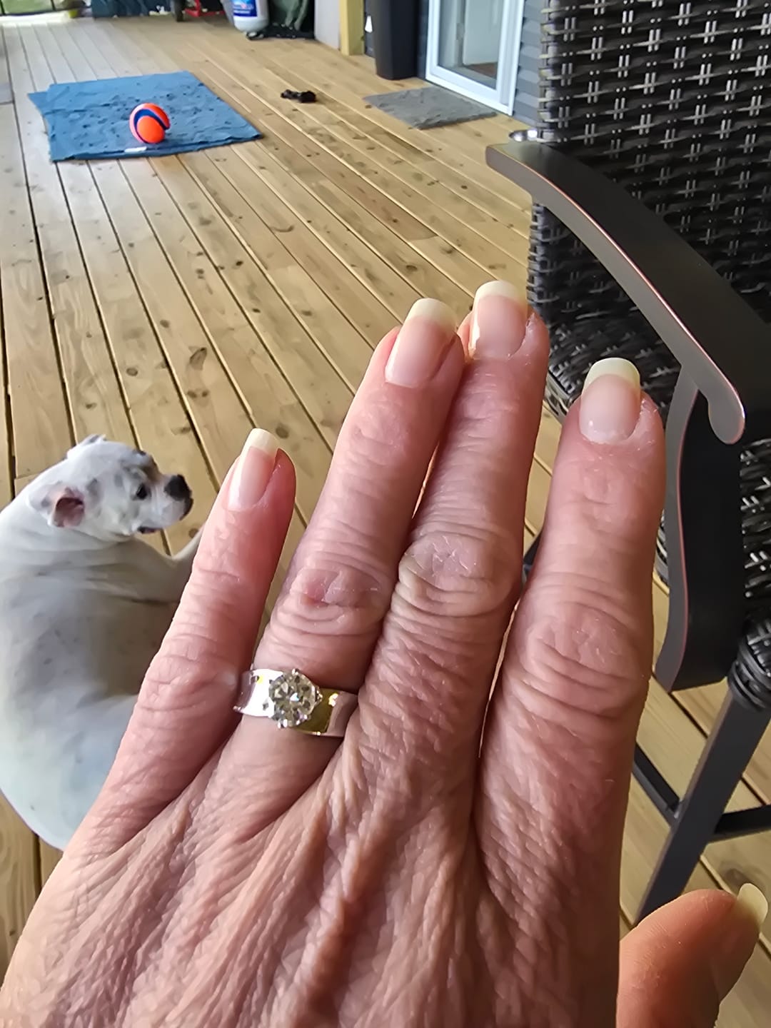 Customer photo review of Solitaire Round Moissanite Concave Wide Band Engagement Ring