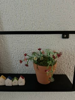 Customer photo review of Workshop: Maak je eigen kralenplantje (meest gekozen)