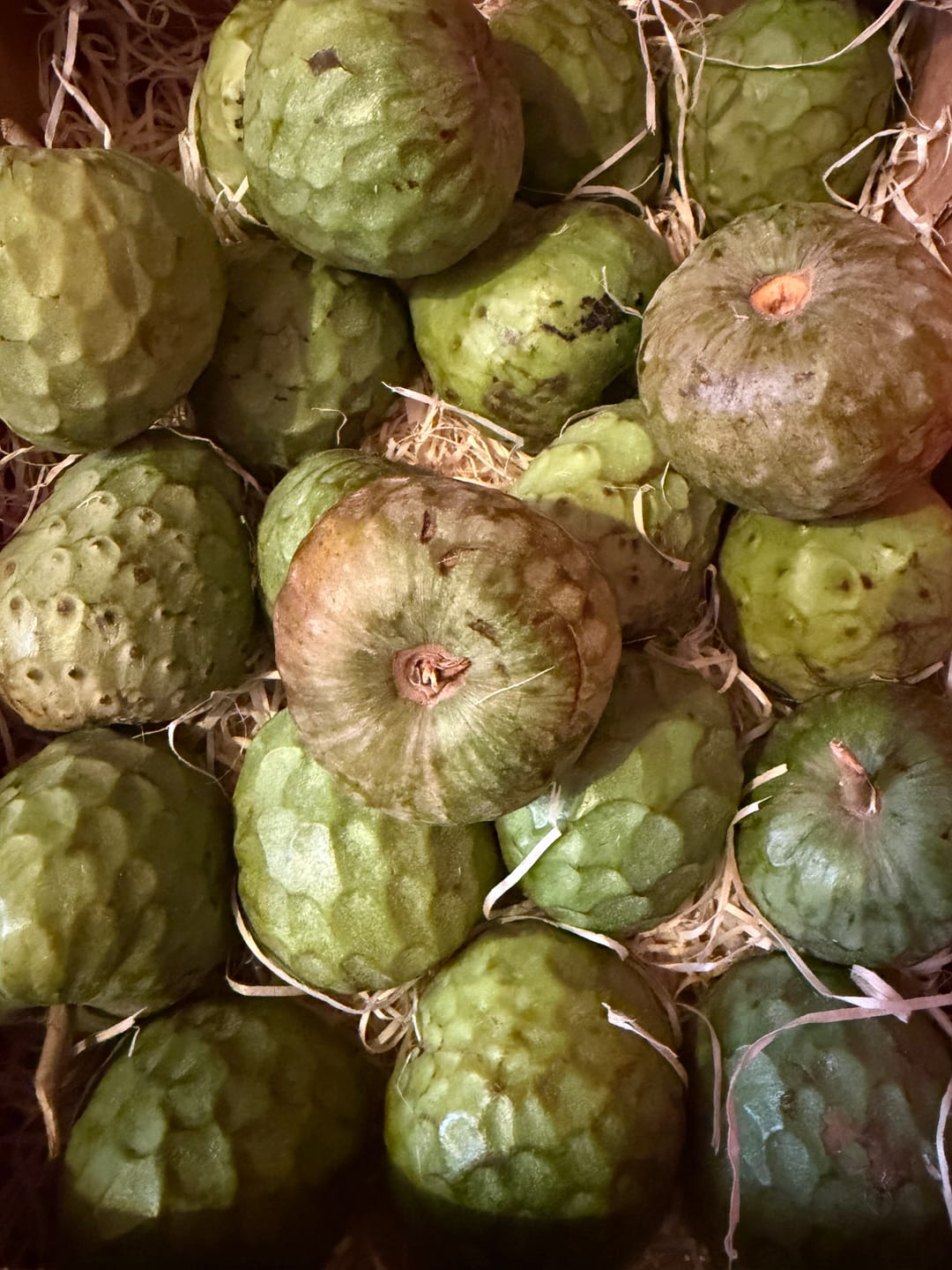 Customer photo review of Cherimoya Bio Hochernte-Retterbox Sonderaktion % 4kg