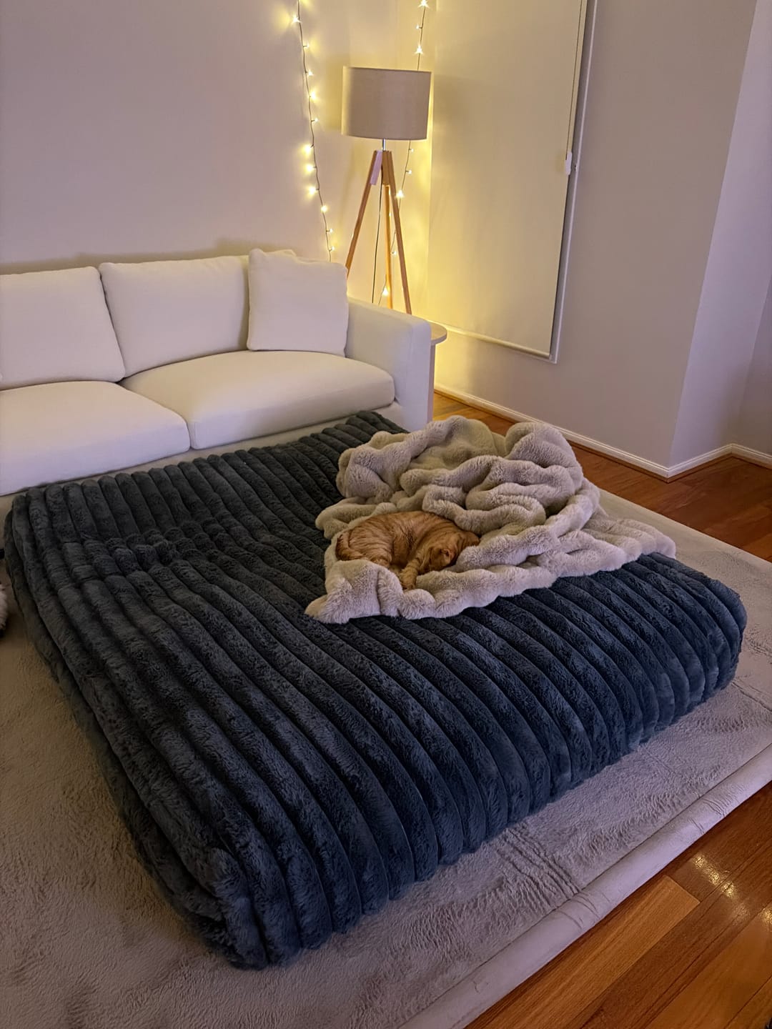 Customer photo review of Muscle Mat CloudPad