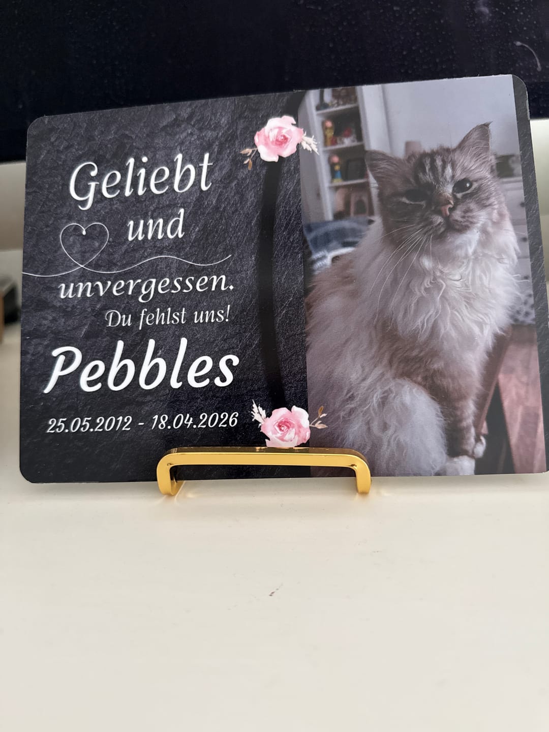 Customer photo review of Katzen Gedenktafel mit Foto & Spruch (UV- & Wetterfest)