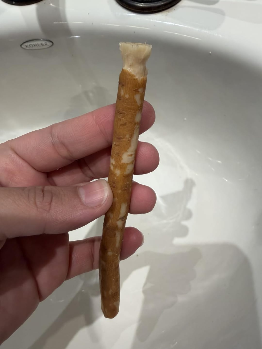 Customer photo review of The Root™
