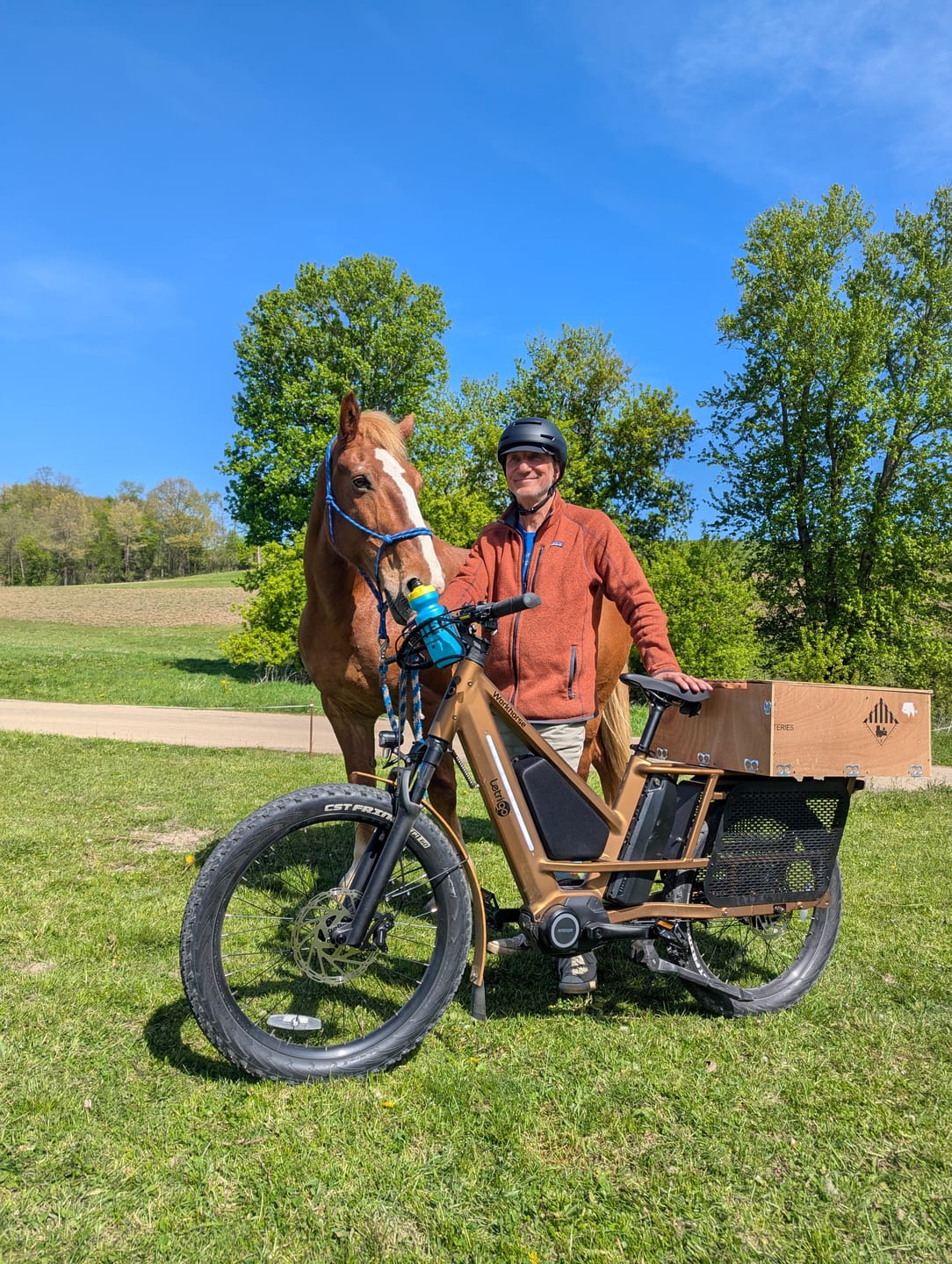 Customer photo review of Workhorse
