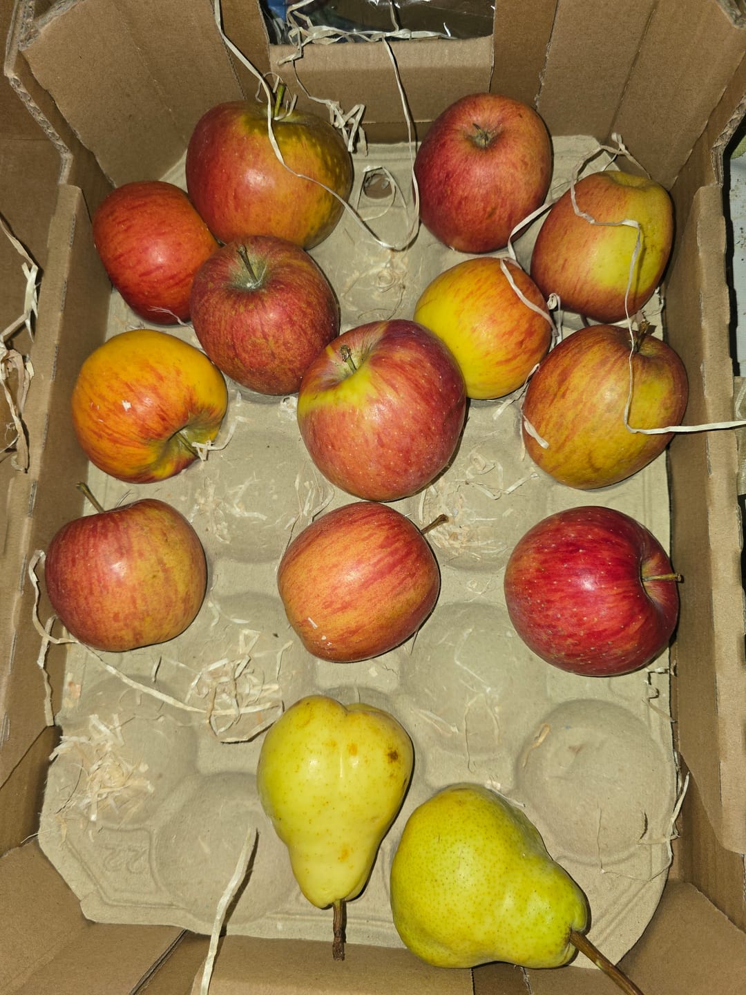 Customer photo review of Apfel & Birnen Mix Bio