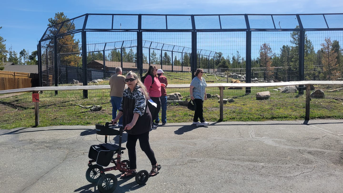 Customer photo review of KLD-9212 All Terrain Dual-Brake Rollator Walker 12" Wheels