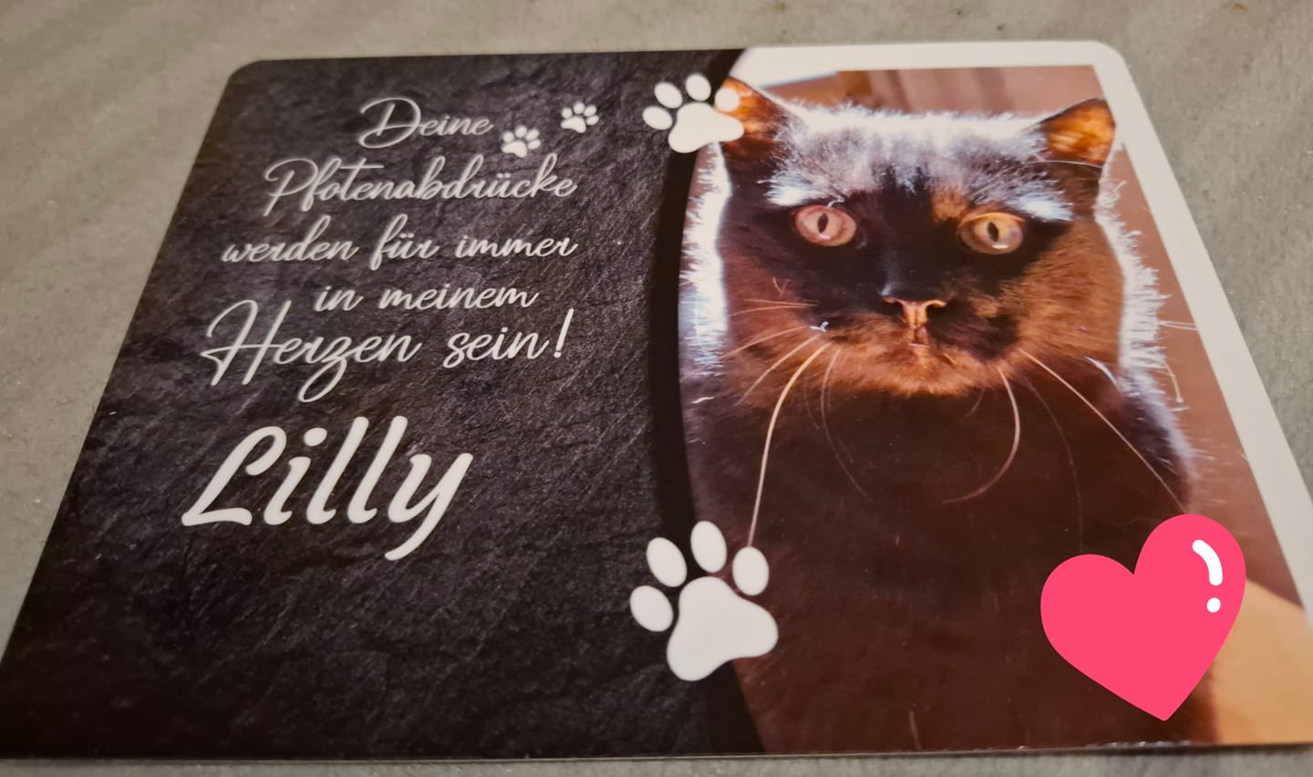 Customer photo review of Katzen Gedenktafel mit Foto & Spruch (UV- & Wetterfest)
