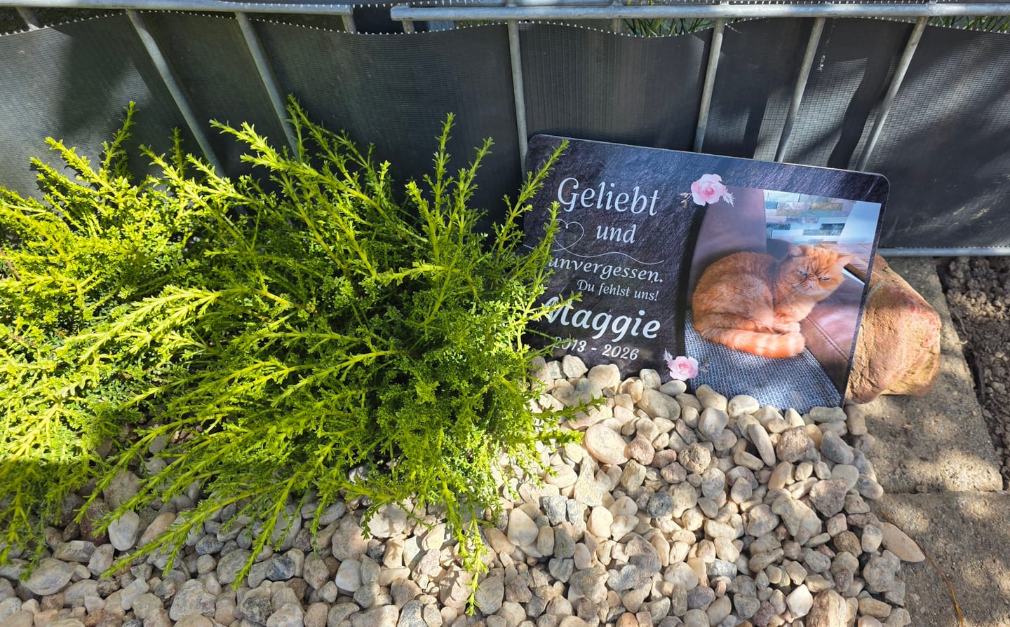 Customer photo review of Katzen Gedenktafel mit Foto & Spruch (UV- & Wetterfest)