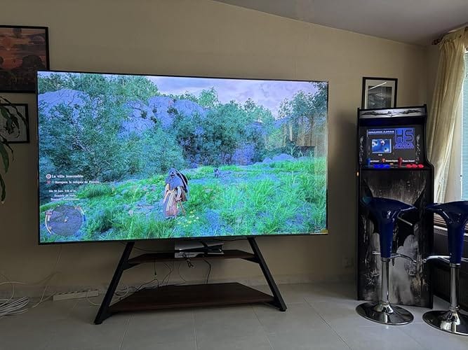 Customer photo review of Eiffel FT100 Floor TV Stand