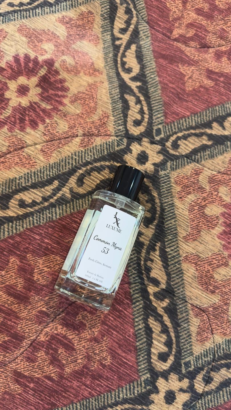 Customer photo review of #53 Common Myna | Inspired by LV Imagination