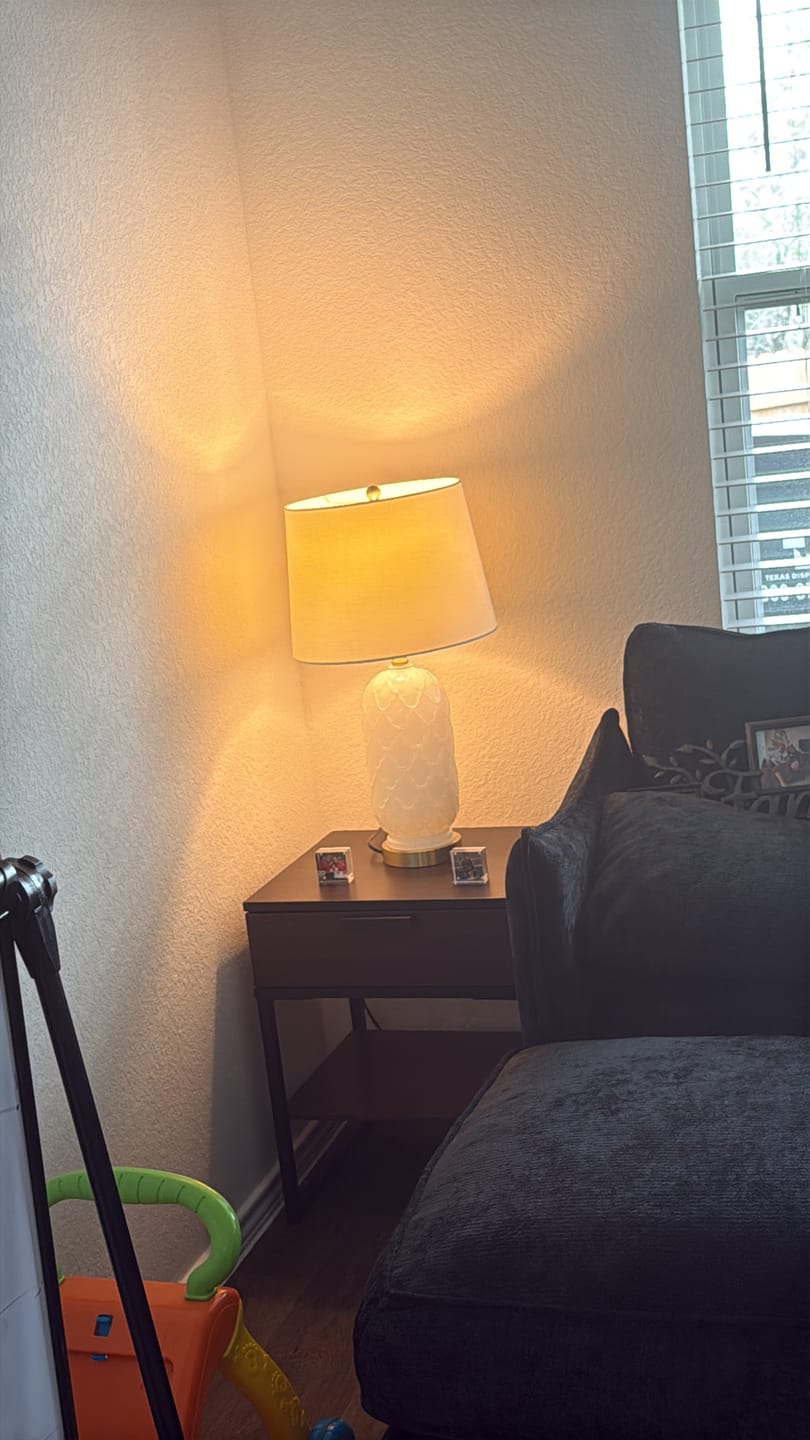 Customer photo review of Compact Modular Sofa